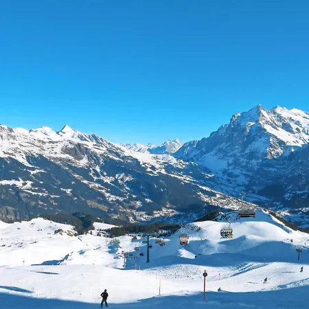 Staehli By Interhome Apartment Grindelwald