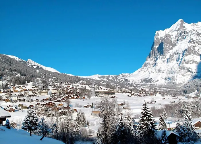 Lägenhet Staehli By Interhome Grindelwald